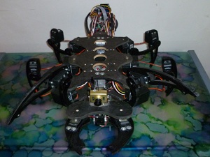 hexapod robot 03